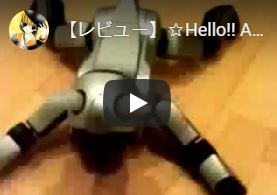 失われた動画を更に2本追加、そしてRaymay（レイメイ藤井）のマイクロスコープ RXT123（15倍）とRXT101（80倍）のレビュー動画うぷ