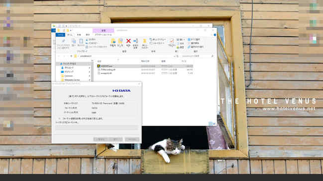 iohddfmt231フォルダが出来るので、exeファイルを実行し、対象のSDカードを選択し、そのままフォーマットします。