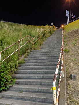 荒川が流れる戸田橋へと到着。対岸は埼玉！(=ﾟωﾟ)ﾉ