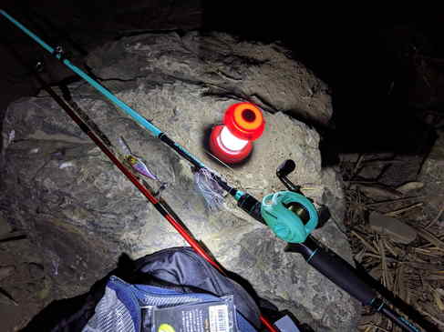 荒川で割と本気で釣りをした。
痛恨のばらしがあり、ニコ生では嘘くさくなるから動画はカットするといったけど、悔しすぎたのでうぷした。
動画はこちら　→　【釣り・Fishing】Google Pixel 3 XLの夜間テスト撮影を兼ねた釣行＠荒川の戸田橋付近でバス釣り