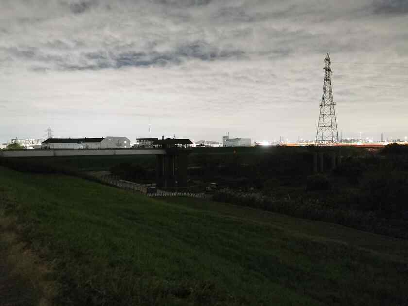 荒川温排水の方は何やら工事をしていて、いつも目にする住み着いている狸と、ボラ釣りに興じている方はいませんでした。