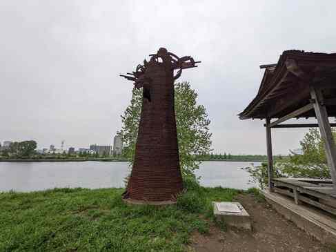 旧岩淵水門で釣り