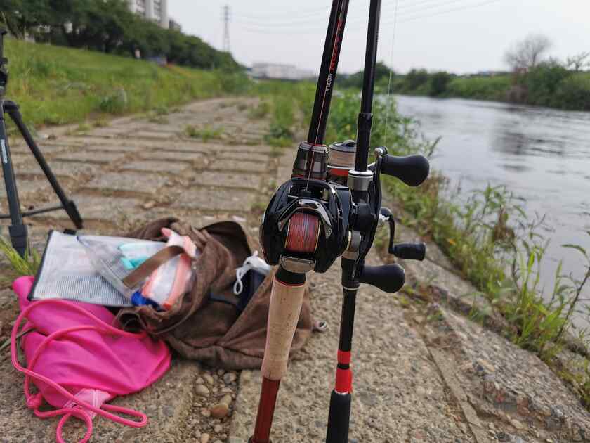 実は6/20も柳瀬川でルアーでスモールマウスバスかニゴイ狙いでニコ生しつつ釣りしてましたが、相も変わらず釣果なしでした。