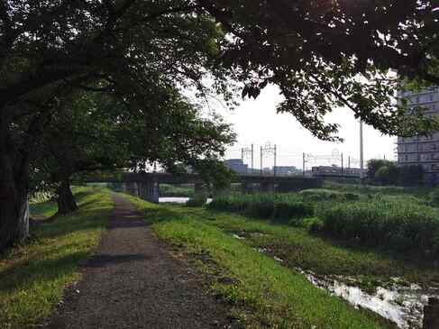 柳瀬川と東武東上線の高架