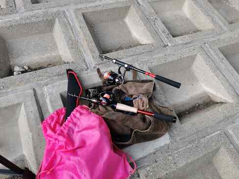 柳瀬川でニコ生しつつニゴイ＆スモールマウスバス釣り