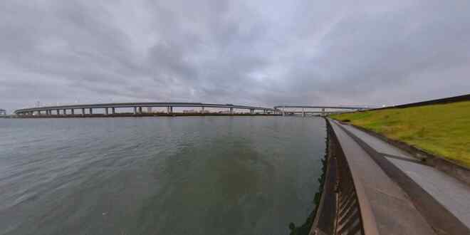 中川沿いは交通量が激しく、自転車での釣行は危険だと感じました