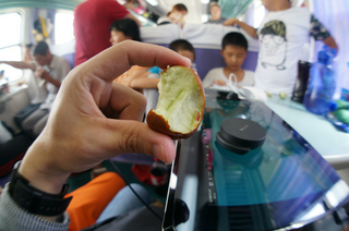 上海~トルファンの二等座席、硬席での2泊3日の旅