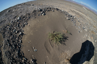 トルファン観光@大河沿鎮