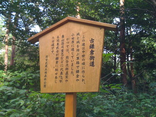 2008年の森林公園