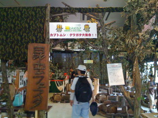 2008年の森林公園