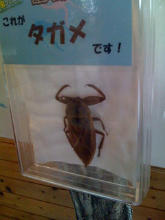 2008年の森林公園