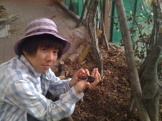 2008年の森林公園