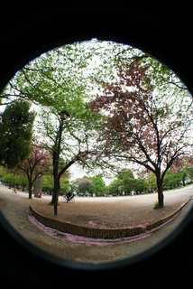 Lomo fisheye2、魚眼レンズで撮影した板橋の平和公園の風景