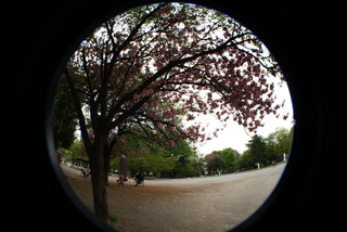 Lomo fisheye2、魚眼レンズで撮影した板橋区の平和公園の風景