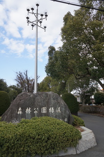 森林公園緑道