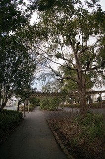 森林公園緑道