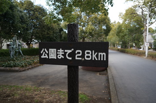 森林公園緑道