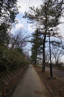 森林公園緑道
