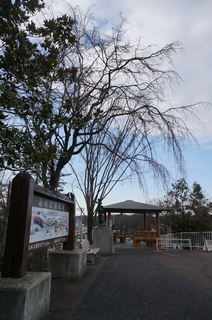 森林公園緑道