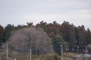 森林公園、滑川町