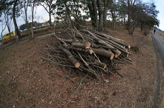 森林公園緑道、滑川町の薪
