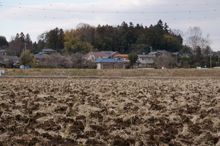 森林公園緑道、滑川町