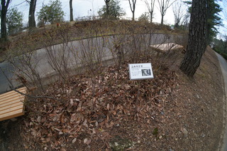 森林公園緑道、滑川町