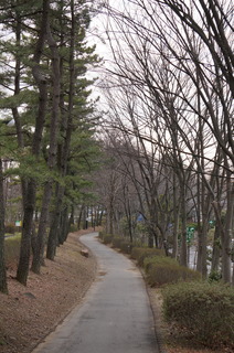 森林公園緑道、滑川町