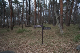 武蔵丘陵森林公園