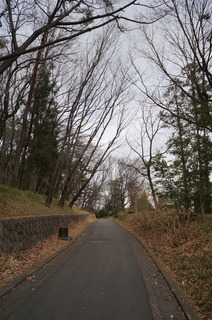 武蔵丘陵森林公園