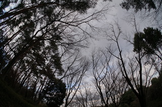 武蔵丘陵森林公園