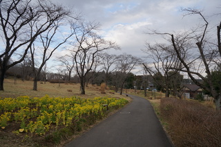 武蔵丘陵森林公園