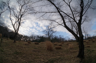 武蔵丘陵森林公園