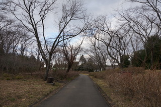 武蔵丘陵森林公園