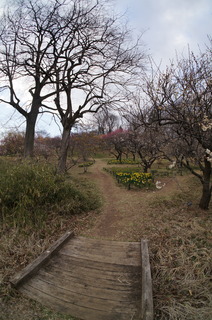 武蔵丘陵森林公園