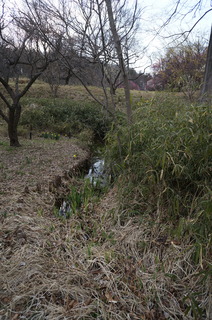 武蔵丘陵森林公園