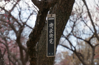 武蔵丘陵森林公園