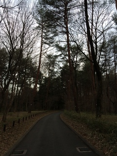 武蔵丘陵森林公園