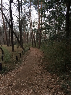 武蔵丘陵森林公園