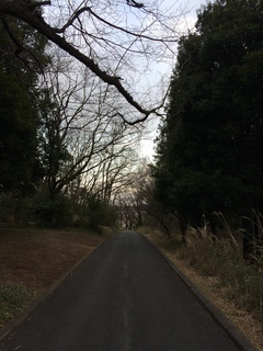 武蔵丘陵森林公園