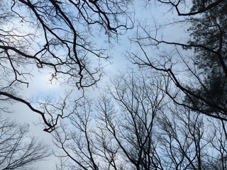 武蔵丘陵森林公園