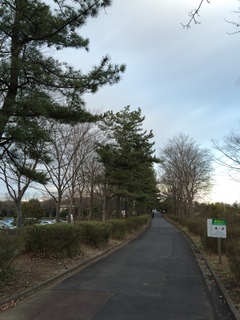 森林公園緑道