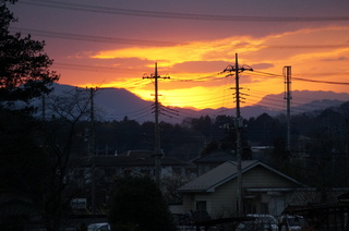 森林公園緑道から見た夕日