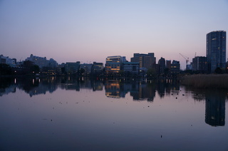 夕暮れ時の上野の不忍池