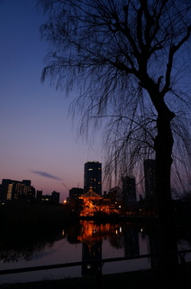 夕暮れ時の上野の不忍池