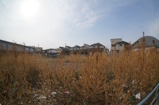下赤塚～赤塚溜池公園へ続く道の風景