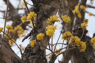 下赤塚～赤塚溜池公園へ続く道の風景