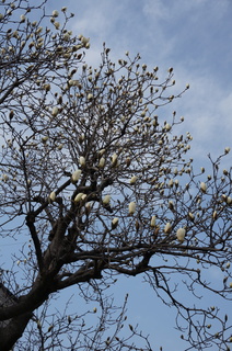 下赤塚～赤塚溜池公園へ続く道の風景