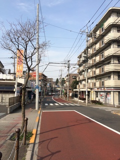 下赤塚～赤塚溜池公園へ続く道の風景