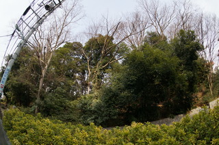 赤塚溜池公園付近